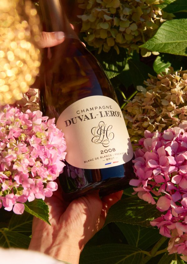 2025-AMBIANCE-BLANCDEBLANCS2008-FLOWERED TABLE-DOMAINEDEBASSIBE-CAMILLEMELET
